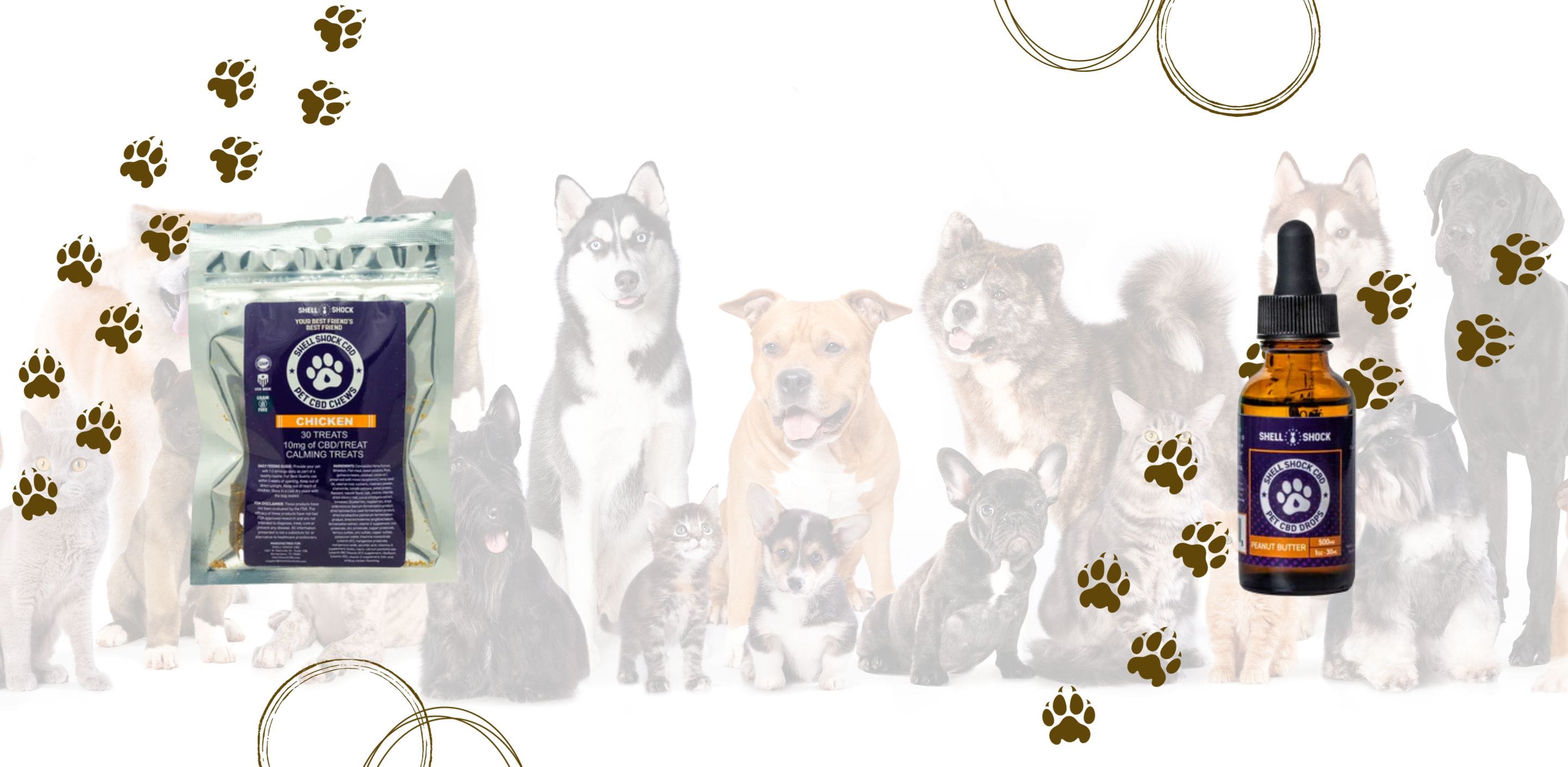 blog-is-cbd-safe-for-pets-cbd-products-for-cats-and-dogs-she