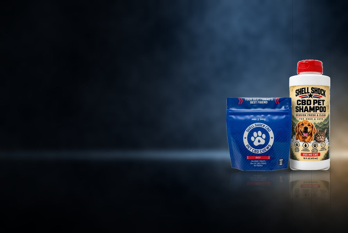 A blue pouch and a white bottle of Shell Shock CBD Pet Shampoo displayed side-by-side on a dark reflective surface with a dramatic spotlight effect.